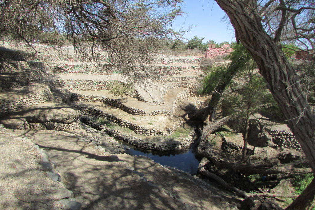 El agua en tiempos de crisis climática: una reflexión en el Día Mundial ...